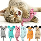 Catnip & Mint Cat Teaser Toy 2x6 for your Pet