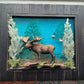 Moose Glass Art Frame - 8x10 Black Wood